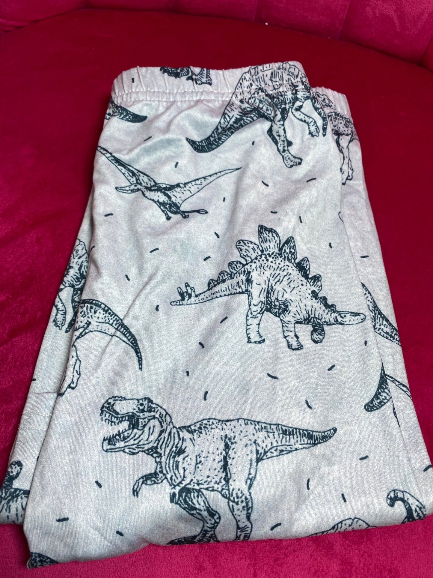 FINAL SALE Dinosaurs Kids Leggings 12-16