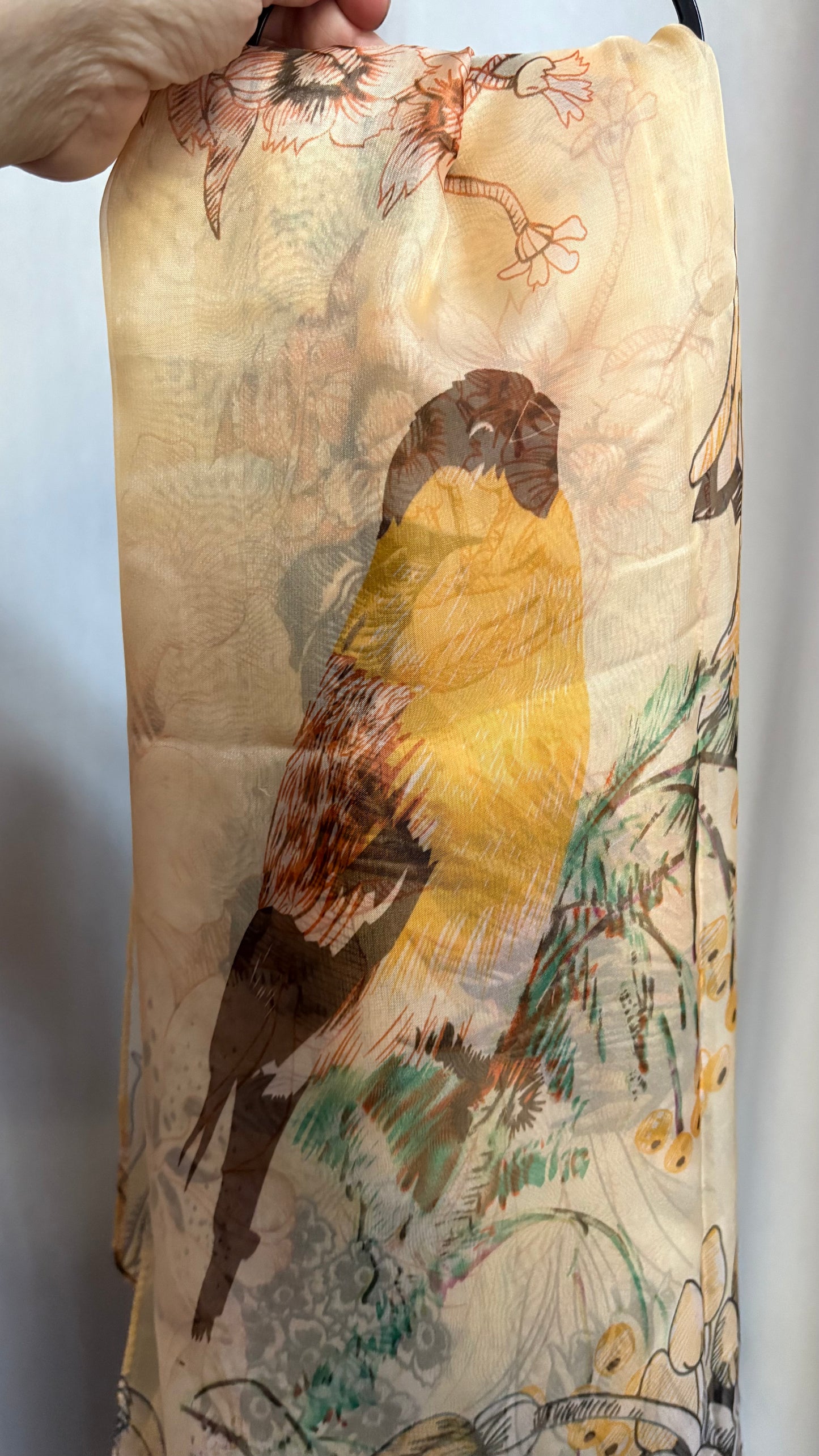 Robin Print Spring Sheer Scarf