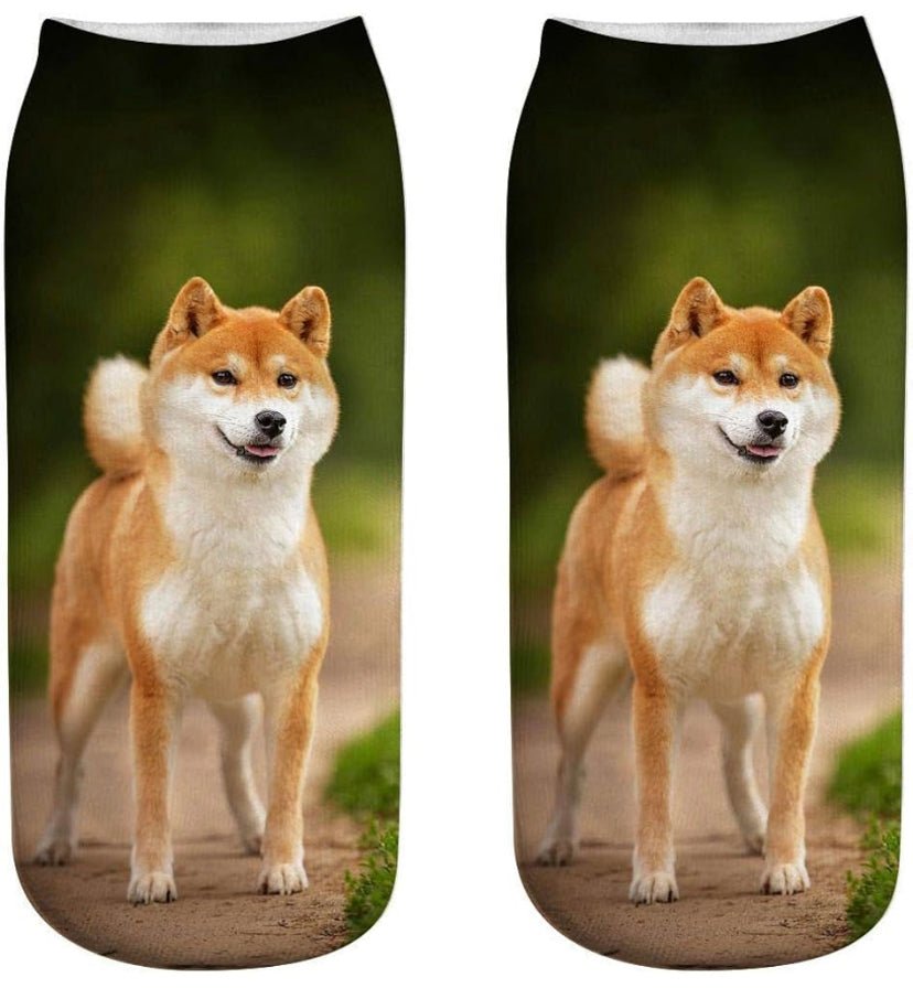 Shiba Socks