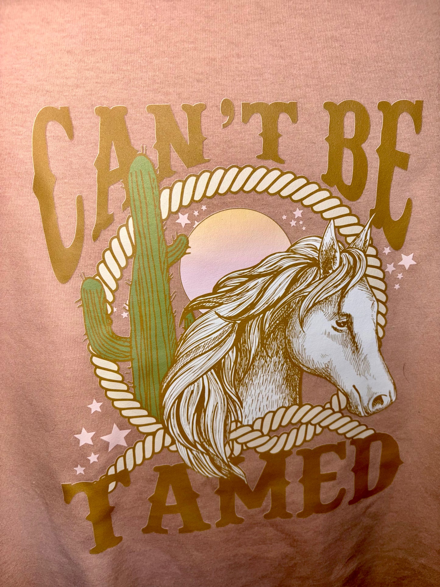 Can’t Be Tamed Horse Graphic Tee Shirt Top