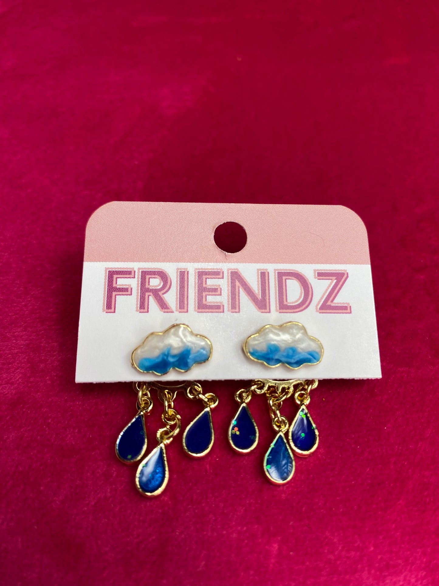 Vancouver Rainy day earrings