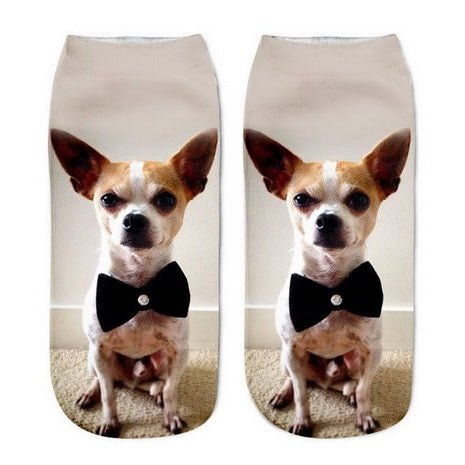 Calcetines con pajarita de chihuahua
