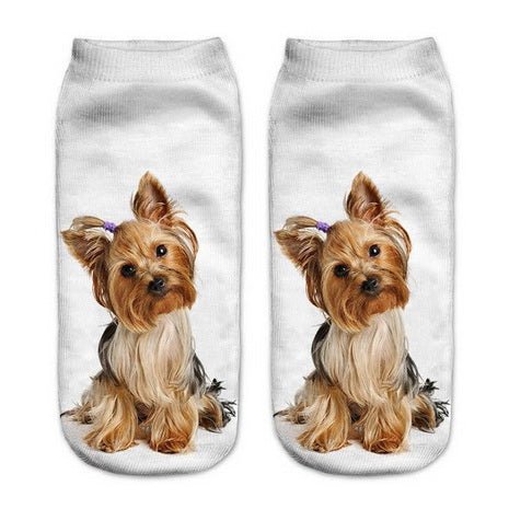 Yorkshire Terrier Chica Perro Calcetines