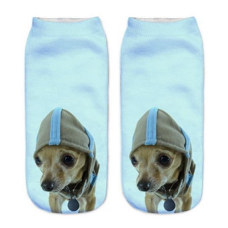 Calcetines Chihuahua Azul