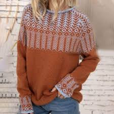 Cabin Vacation Sweater Top Brown & Powder Blue Large 1046