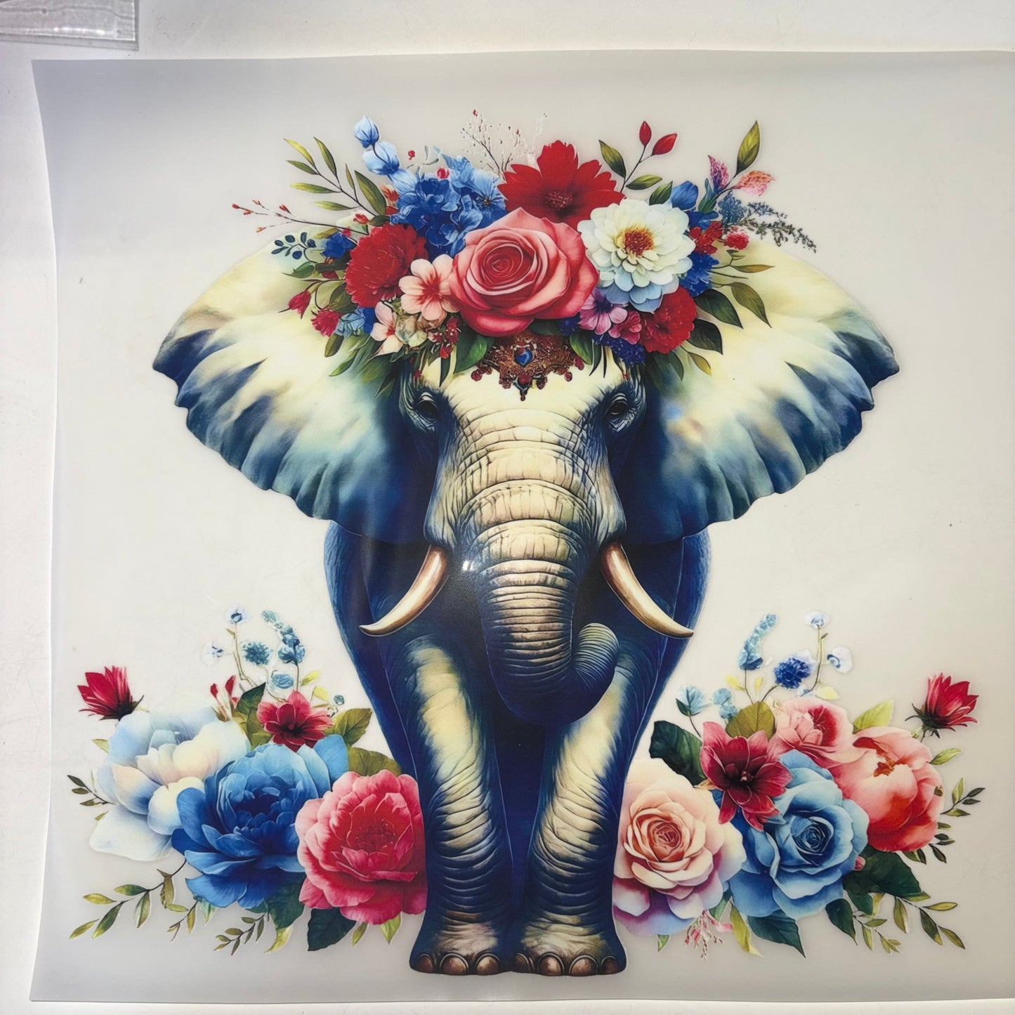 Floral Elephant Shirt Transfer