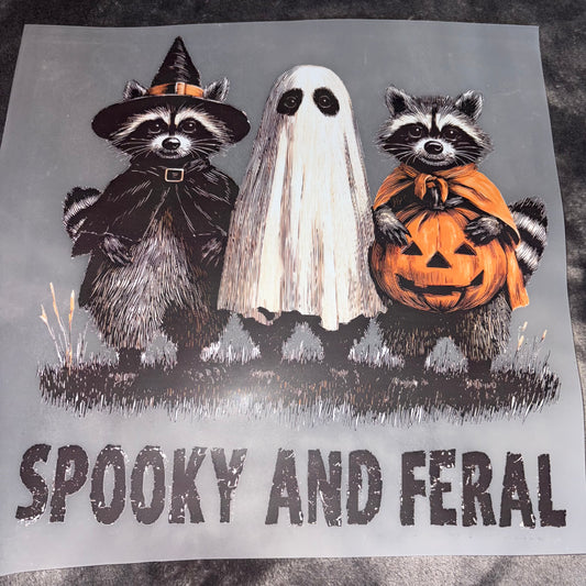 HALLOWEEN | Spooky and Feral Raccoon Shirt Transfer
