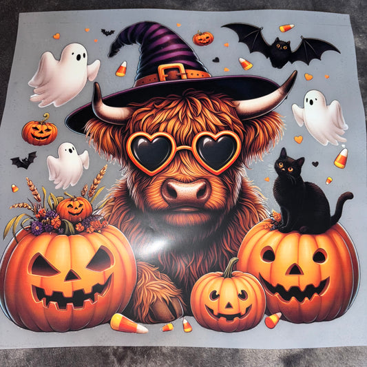 HALLOWEEN | Witch Cow Pumpkin Cat Shirt Transfer