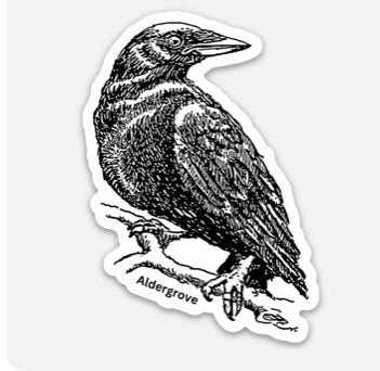 Roosting Crow / Raven Aldergrove BC CANDA Souvenir Sticker