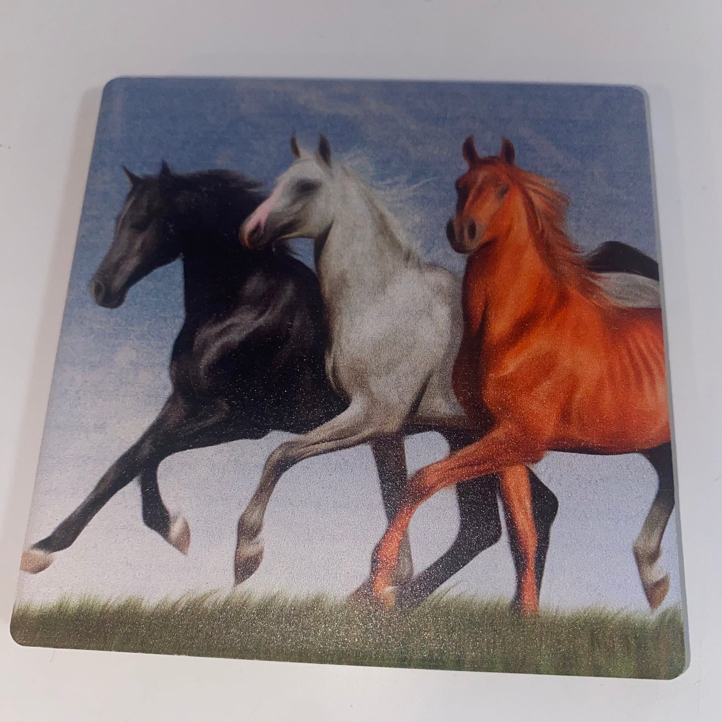 Horse Coaster