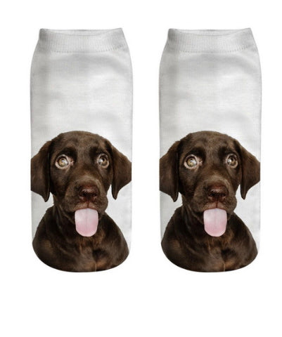 Chocolate Labrador Dog Print Socks