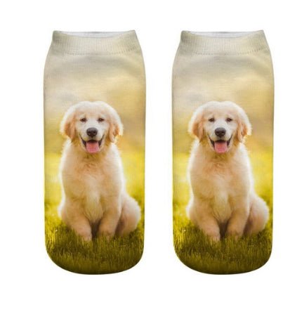 Golden Retriever Socks