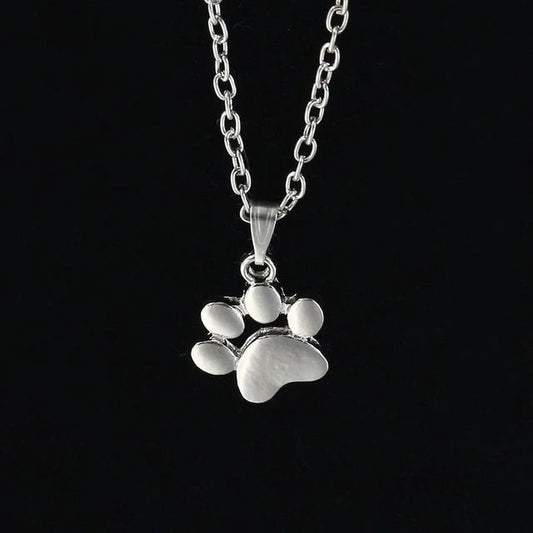 Collier de patte plaqué argent/or