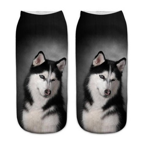 Chien Husky Chaussettes