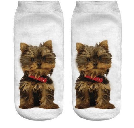 Chaussettes Yorkshire Terrier