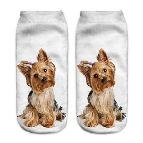 Chien Yorkshire Terrier Chaussettes