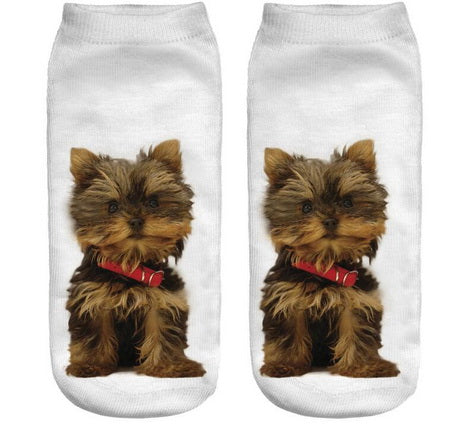 Yorkshire Terrier Socks