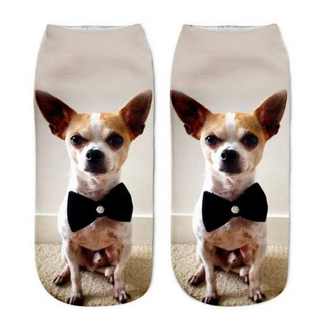 Chihuahua Bow Tie Dog Print Socks