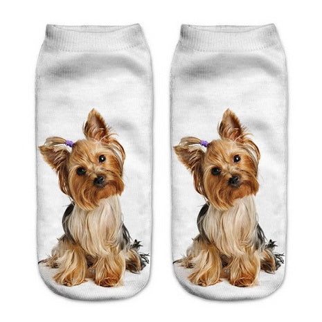Yorkshire Terrier Girl Dog Socks
