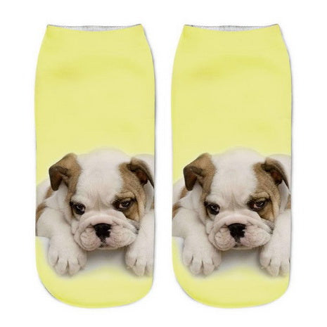Bull Dog Puppy Socks