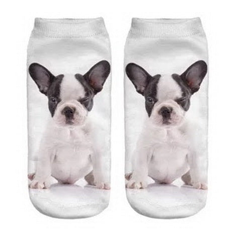 Frenchie Puppy Socks
