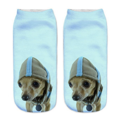 Blue Chihuahua Dog Print Socks