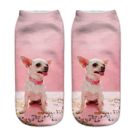 Chaussettes Chihuahua roses